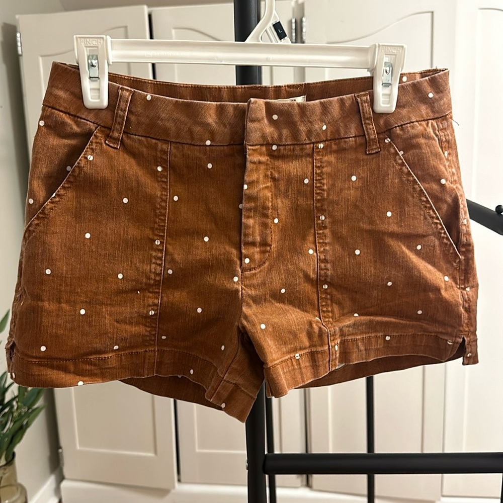 Francesca’s Dotted Shorts